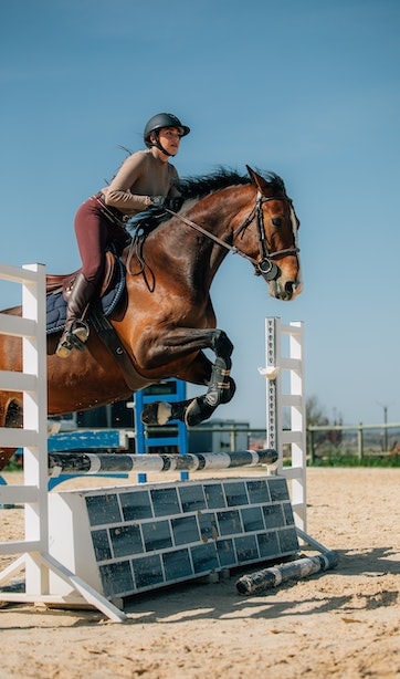 Spirit Ranch | Riding academy