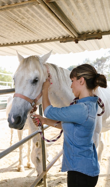 Spirit Ranch | Riding academy